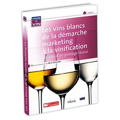 Les vins blancs de la démarche marketing à la vinification
