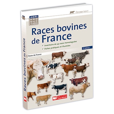 Races bovines de France