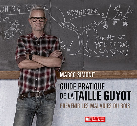 Guide pratique de la taille guyot