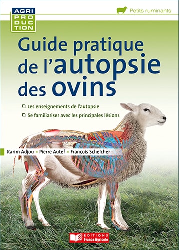 Guide pratique de l'autopsie des ovins