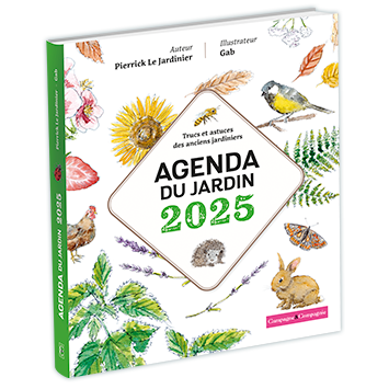 926802-3D nouveaufocus.png