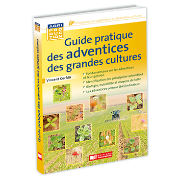 929054-3D nouveaufocus.png