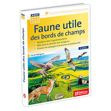 921713-3D nouveaufocus (1).png