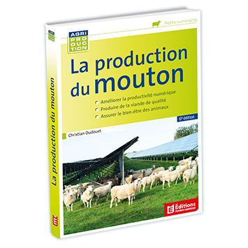 921313-3D nouveaufocus.png