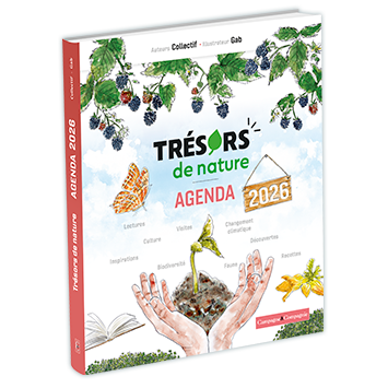 926811-3D nouveaufocus.png