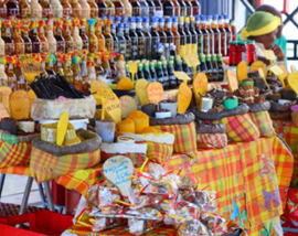 GUADELOUPE 2025-voyage_web-EdFA-270x214-2.png