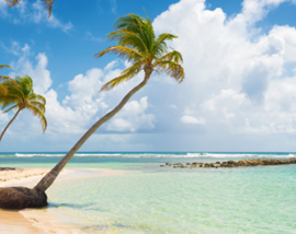 GUADELOUPE 2025-voyage_web-EdFA-270x214.png