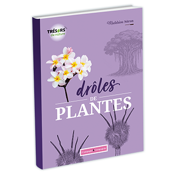 926816-3D nouveaufocus.png